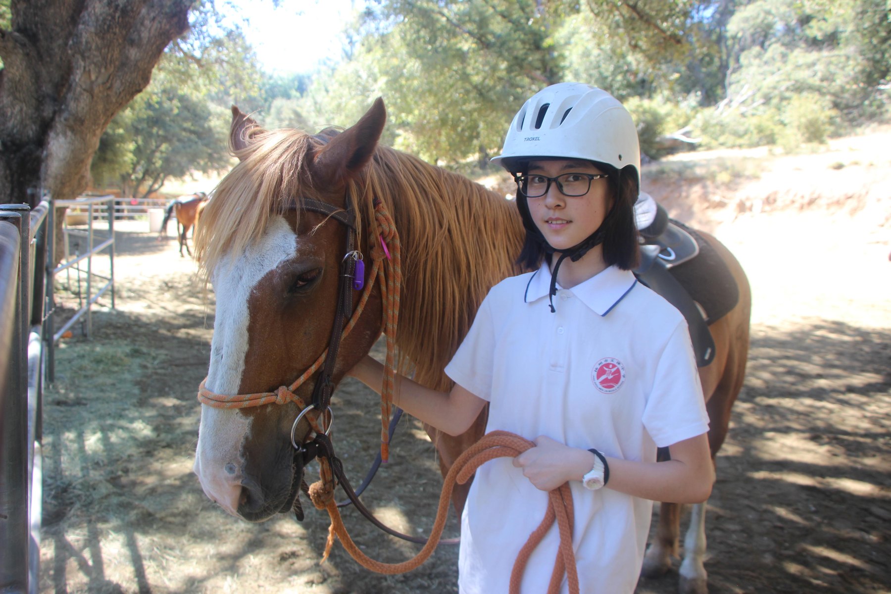 A participant wearing a helmet stands beside a horse holding a lead rope